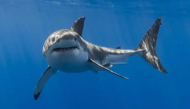 上海中钜建科工程有限公司轮播图2